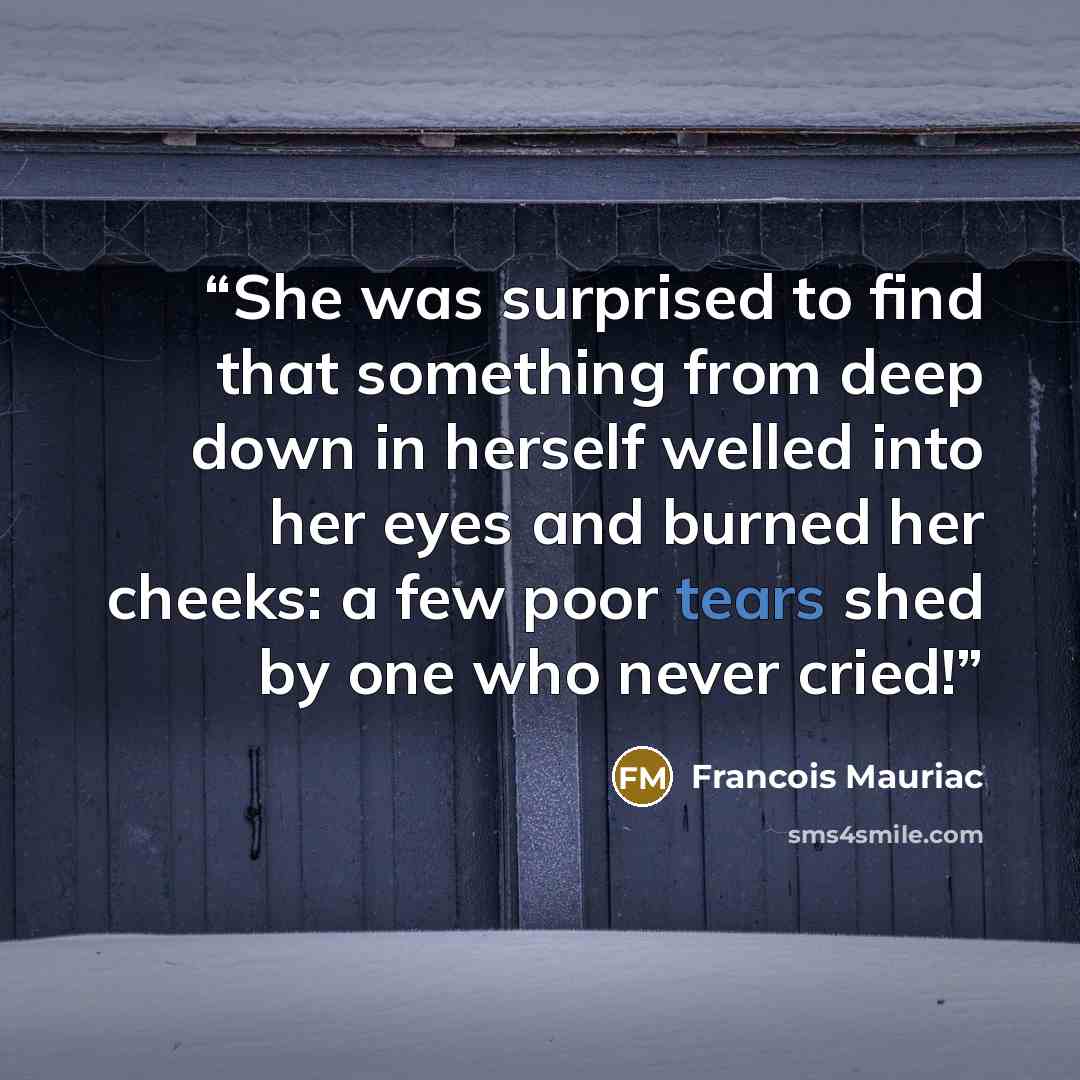 “She was surprised to find that something from deep down in herself welled into her eyes and burned her cheeks: a few poor tears shed by one who never cried!” quote by François Mauriac