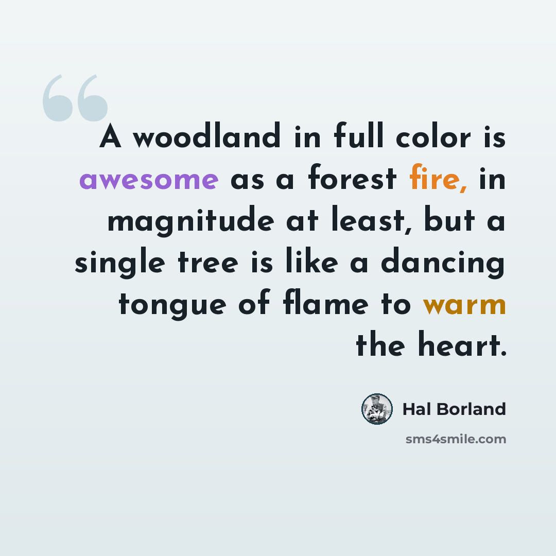 “A woodland in full color is awesome as a forest fire, in magnitude at least, but a single tree is like a dancing tongue of flame to warm the heart.” quote by Hal Borland