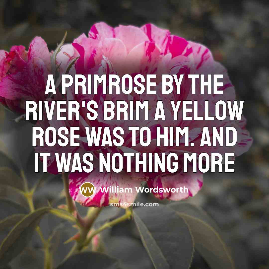 “A primrose by the river's brim A yellow rose was to him. And it was nothing more” quote by William Wordsworth