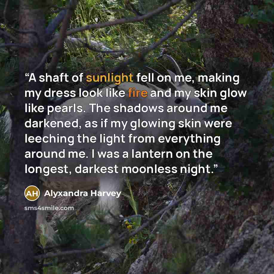“A shaft of sunlight fell on me, making my dress look like fire and my skin glow like pearls. The shadows around me darkened, as if my glowing skin were leeching the light from everything around me. I was a lantern on the longest, darkest moonless night.” quote by Alyxandra Harvey