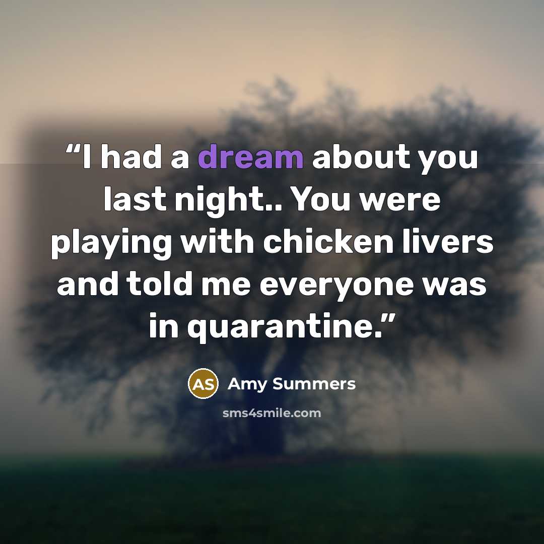 “I had a dream about you last night.. You were playing with chicken livers and told me everyone was in quarantine.” quote by Amy Summers