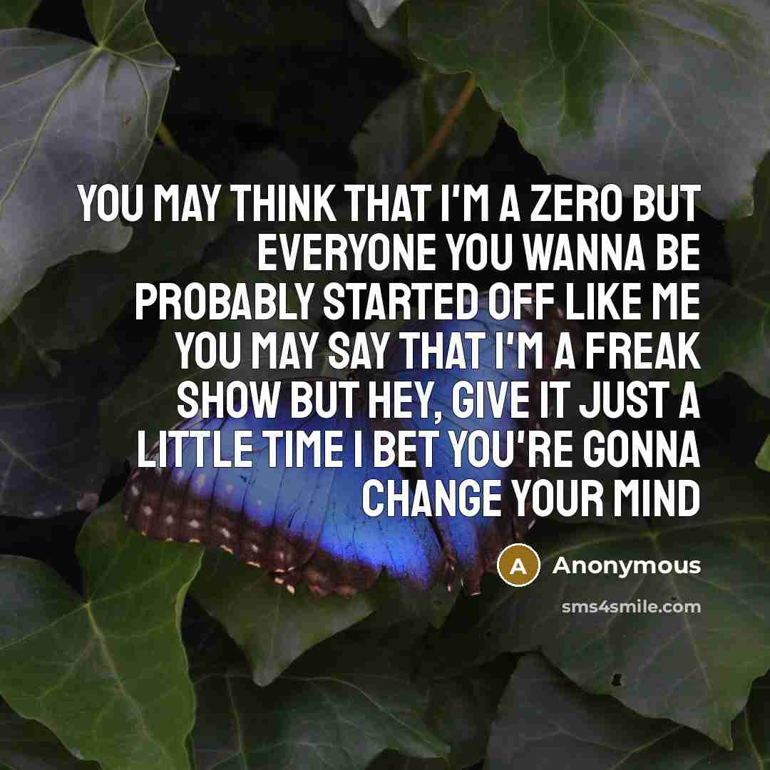 “You may think that I'm a zero But everyone you wanna be Probably started off like me You may say that I'm a freak show But hey, give it just a little time I bet you're gonna change your mind” quote by Anonymous