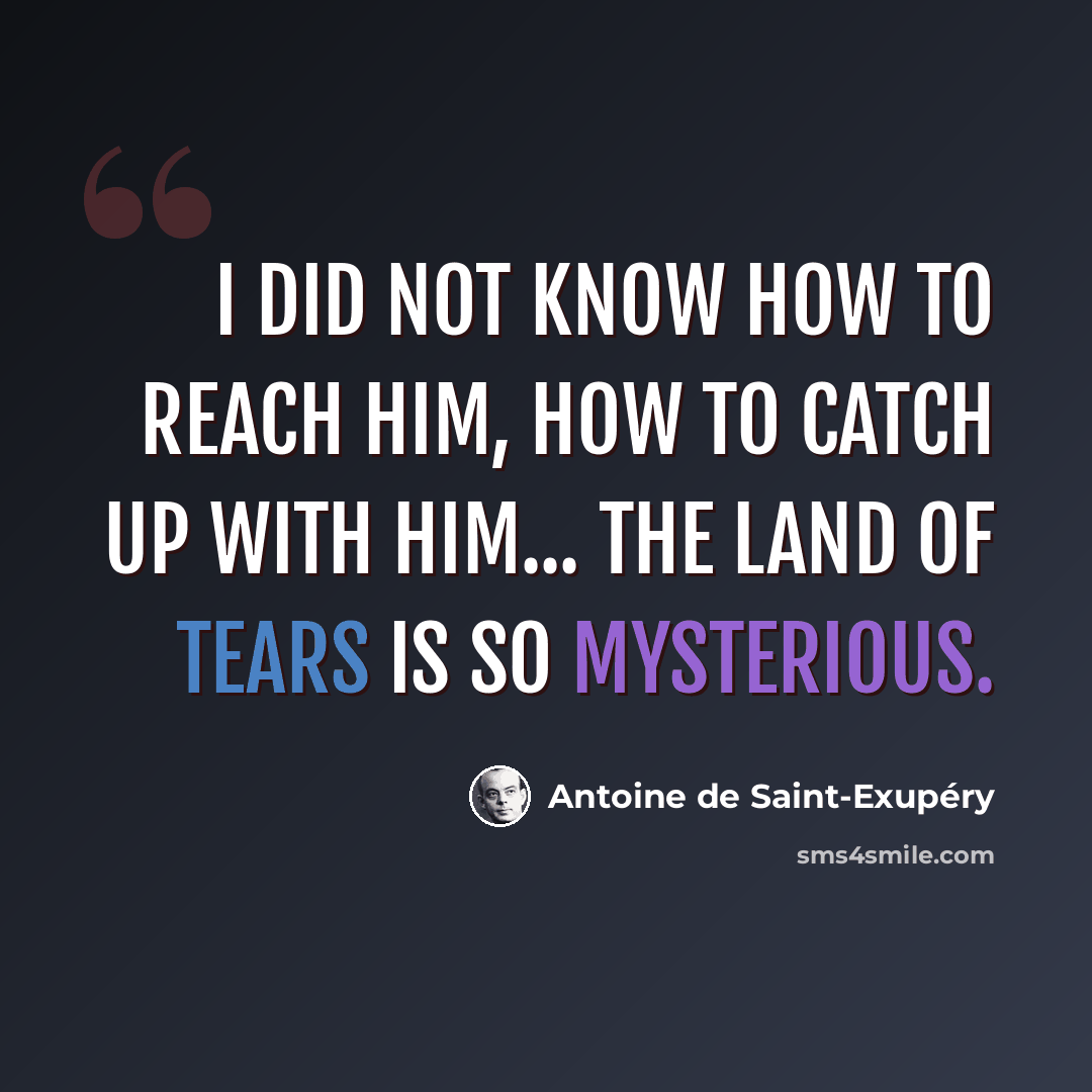 “I did not know how to reach him, how to catch up with him... The land of tears is so mysterious.” quote by Antoine de Saint-Exupery