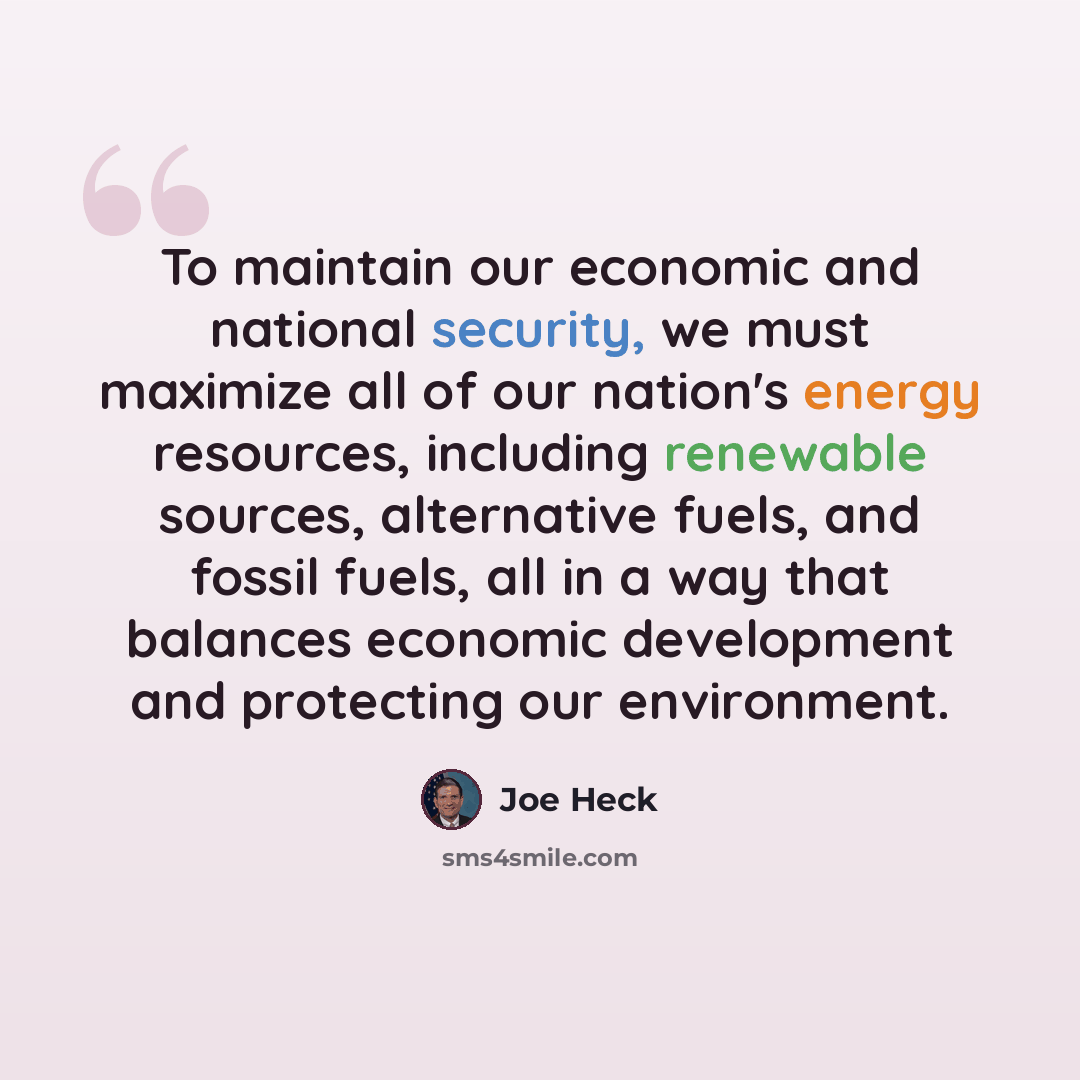 “To maintain our economic and national security, we must maximize all of our nation's energy resources, including renewable sources, alternative fuels, and fossil fuels, all in a way that balances economic development and protecting our environment.” quote by Joe Heck