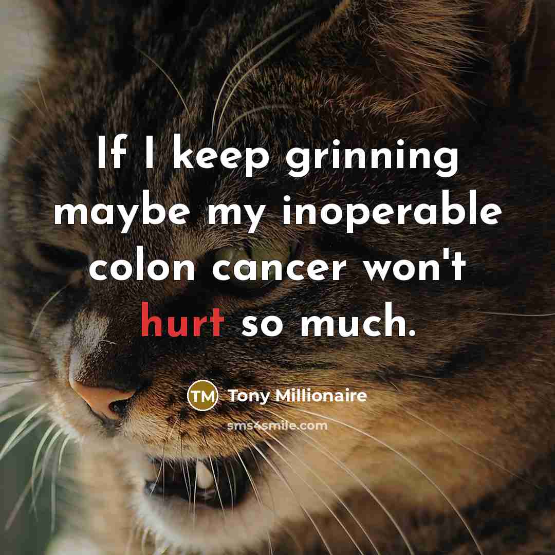 “If I keep grinning maybe my inoperable colon cancer won't hurt so much.” quote by Tony Millionaire