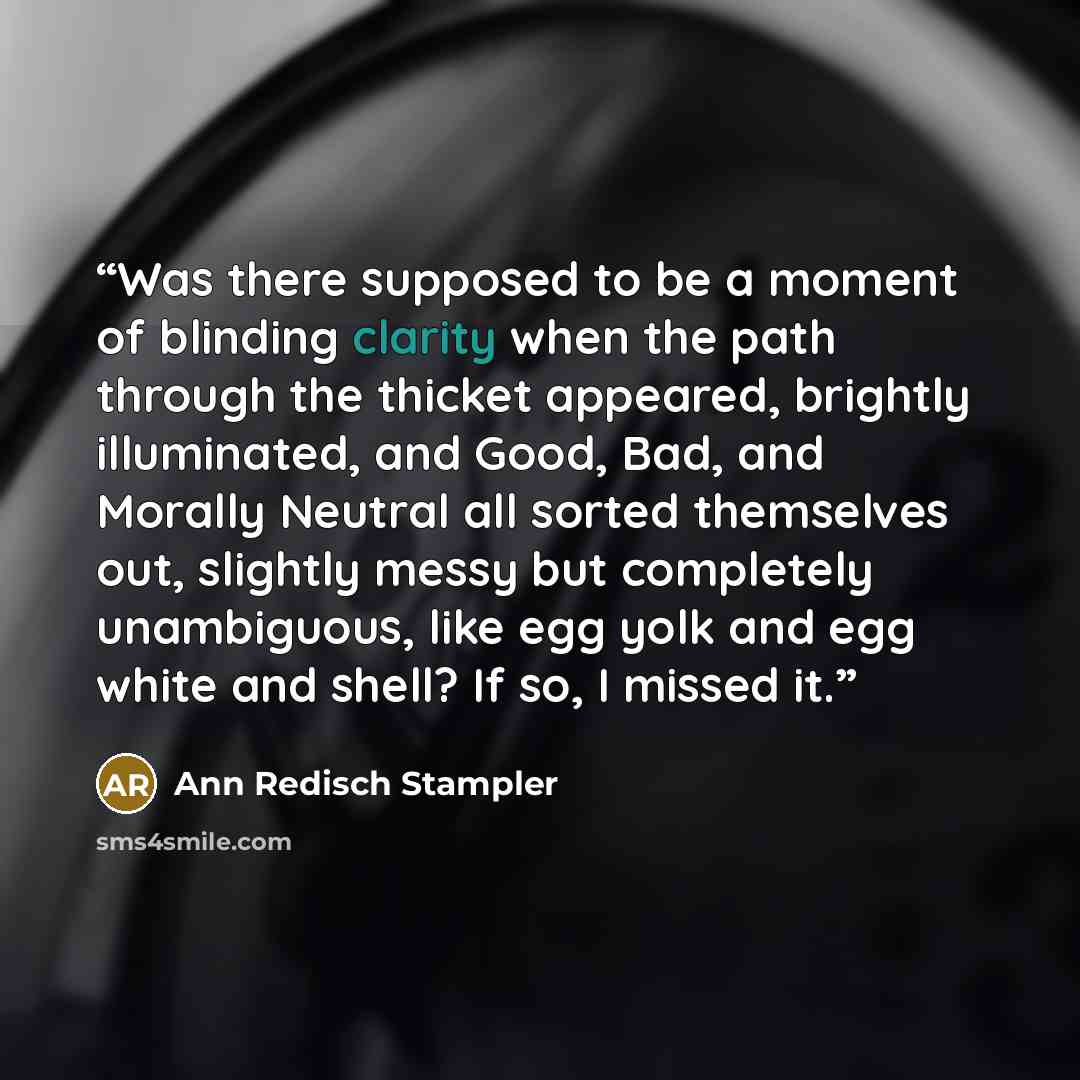 “Was there supposed to be a moment of blinding clarity when the path through the thicket appeared, brightly illuminated, and Good, Bad, and Morally Neutral all sorted themselves out, slightly messy but completely unambiguous, like egg yolk and egg white and shell? If so, I missed it.” quote by Ann Redisch Stampler
