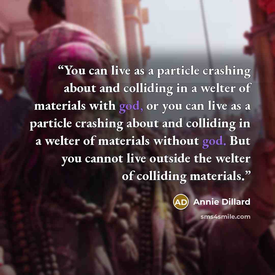 “You can live as a particle crashing about and colliding in a welter of materials with god, or you can live as a particle crashing about and colliding in a welter of materials without god. But you cannot live outside the welter of colliding materials.” quote by Annie Dillard
