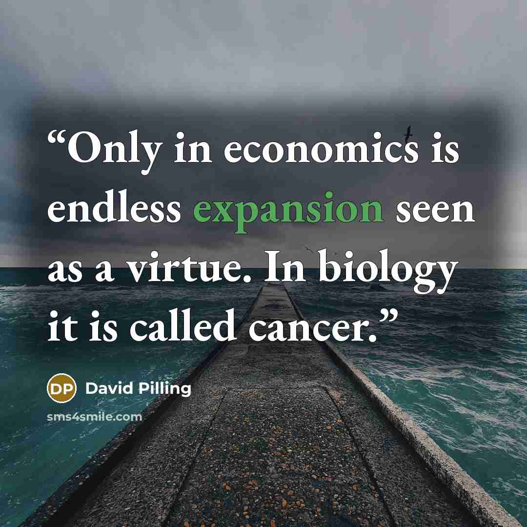 “Only in economics is endless expansion seen as a virtue. In biology it is called cancer.” quote by David Pilling