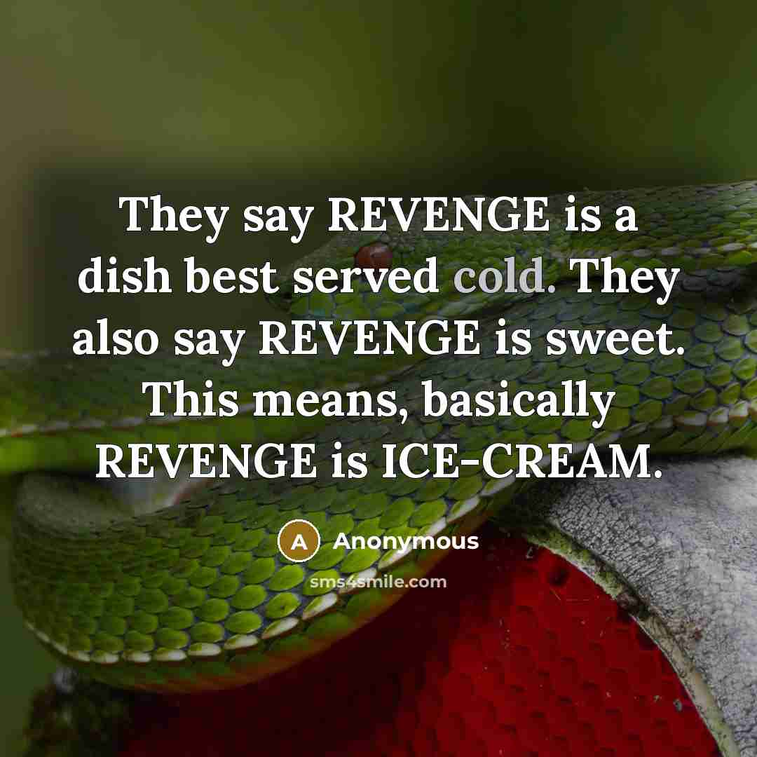 “They say REVENGE is a dish best served cold. They also say REVENGE is sweet. This means, basically REVENGE is ICE-CREAM.” quote by Anonymous