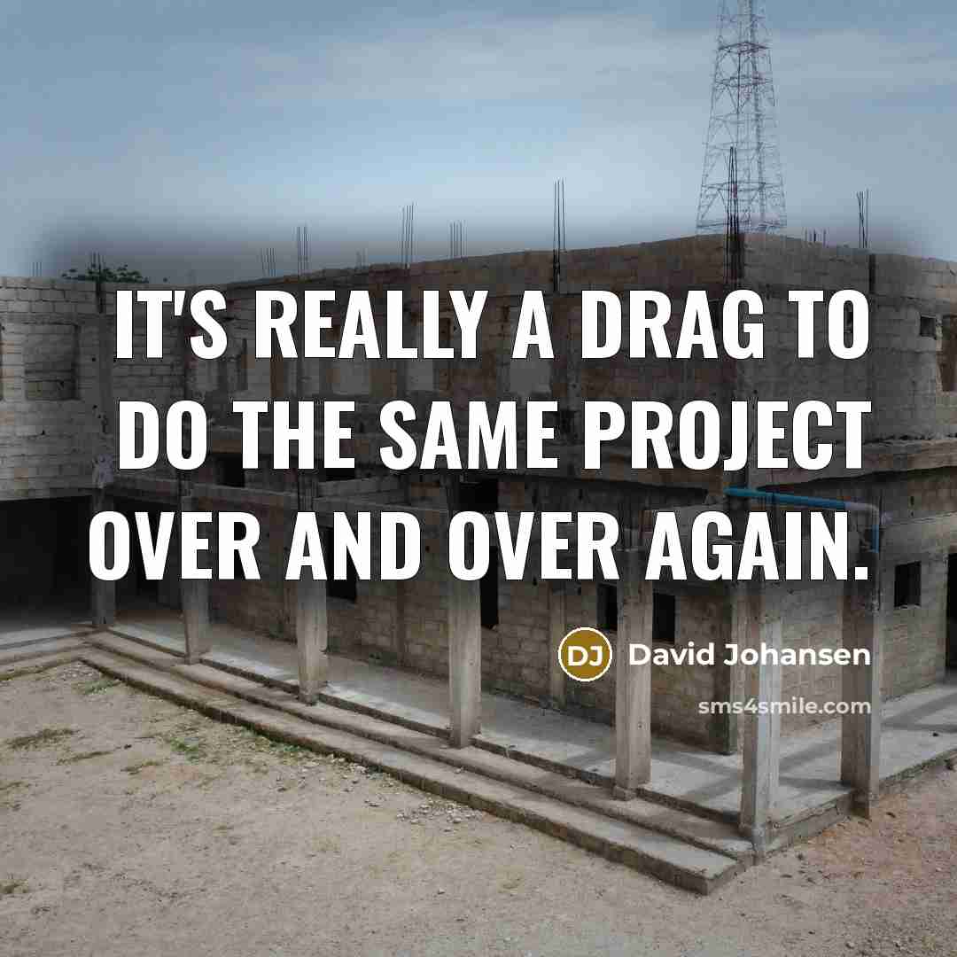 “It's really a drag to do the same project over and over again.” quote by David Johansen