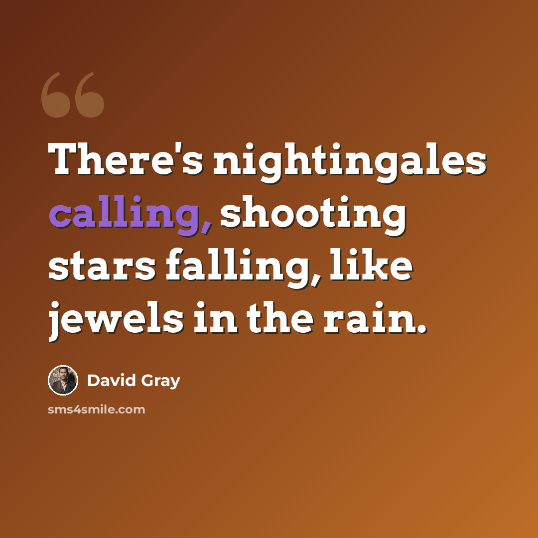 “There's nightingales calling, shooting stars falling, like jewels in the rain.” quote by David Gray
