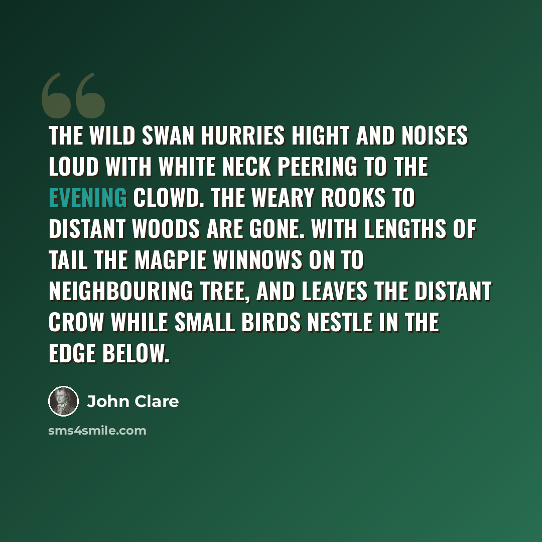 “The wild swan hurries hight and noises loud With white neck peering to the evening clowd. The weary rooks to distant woods are gone. With lengths of tail the magpie winnows on To neighbouring tree, and leaves the distant crow While small birds nestle in the edge below.” quote by John Clare