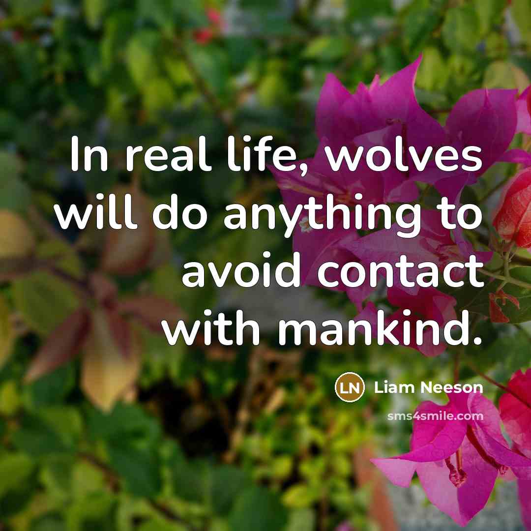 “In real life, wolves will do anything to avoid contact with mankind.” quote by Liam Neeson
