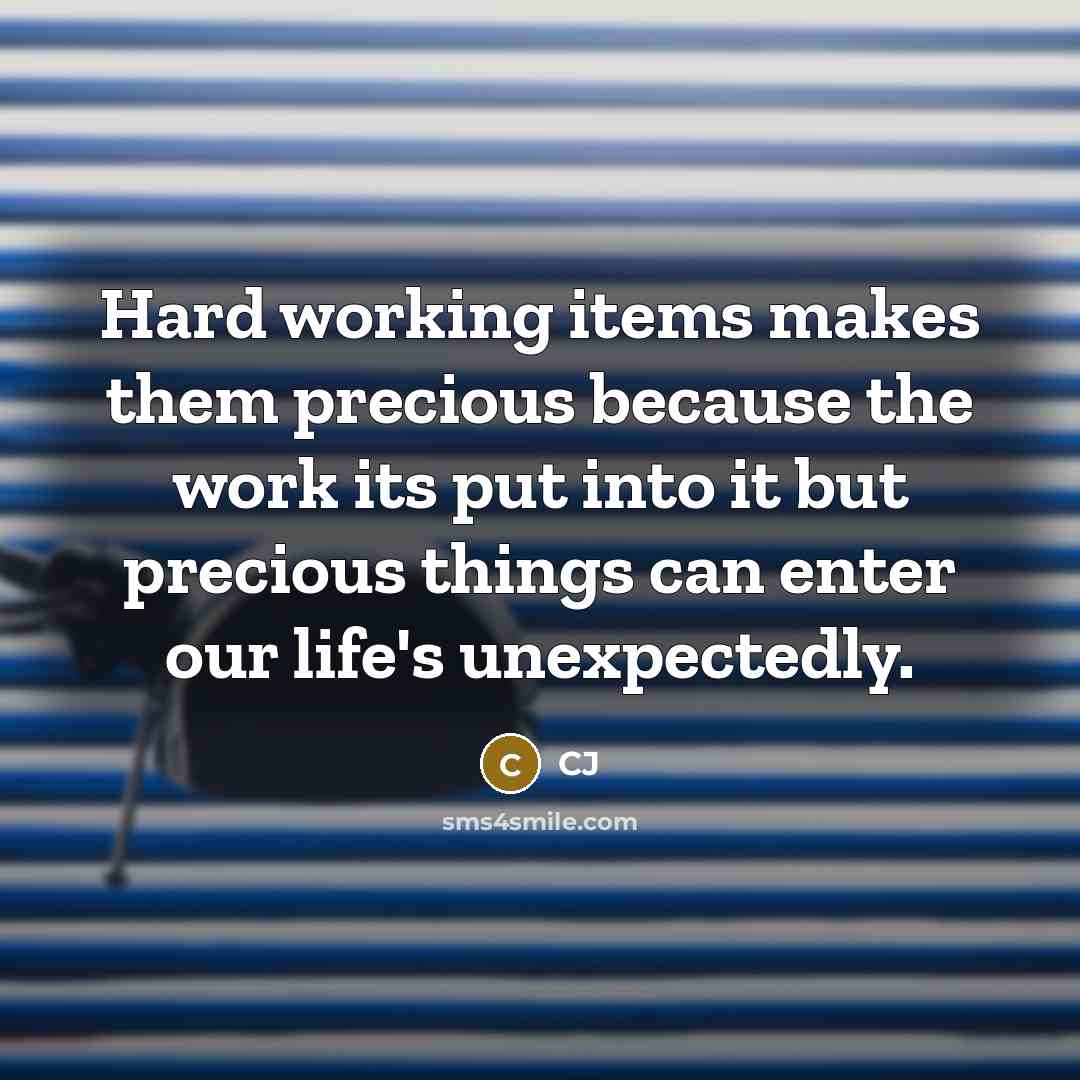 “Hard working items makes them precious because the work its put into it but precious things can enter our life's unexpectedly.” quote by CJ