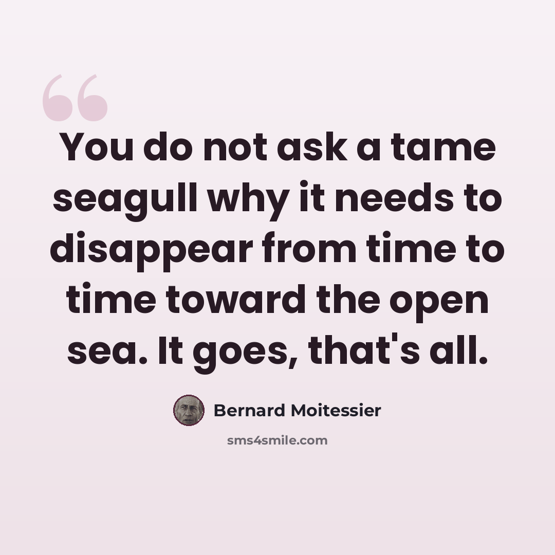 “You do not ask a tame seagull why it needs to disappear from time to time toward the open sea. It goes, that's all.” quote by Bernard Moitessier