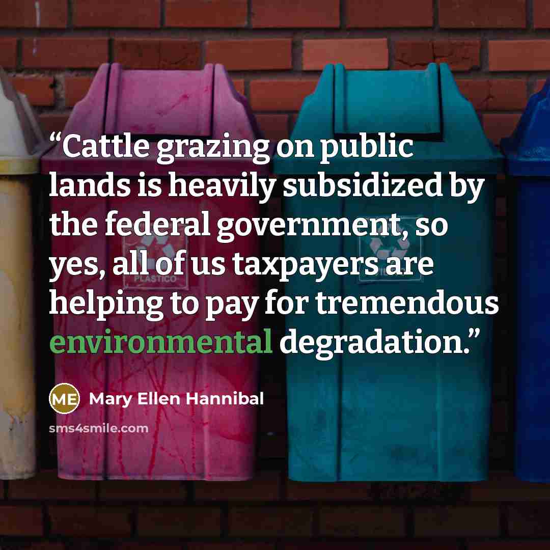 “Cattle grazing on public lands is heavily subsidized by the federal government, so yes, all of us taxpayers are helping to pay for tremendous environmental degradation.” quote by Mary Ellen Hannibal