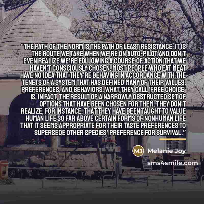 “The path of the norm is the path of least resistance; it is the route we take when we're on auto-pilot and don't even realize we're following a course of action that we haven't consciously chosen. Most people who eat meat have no idea that they're behaving in accordance with the tenets of a system…” quote by Melanie Joy