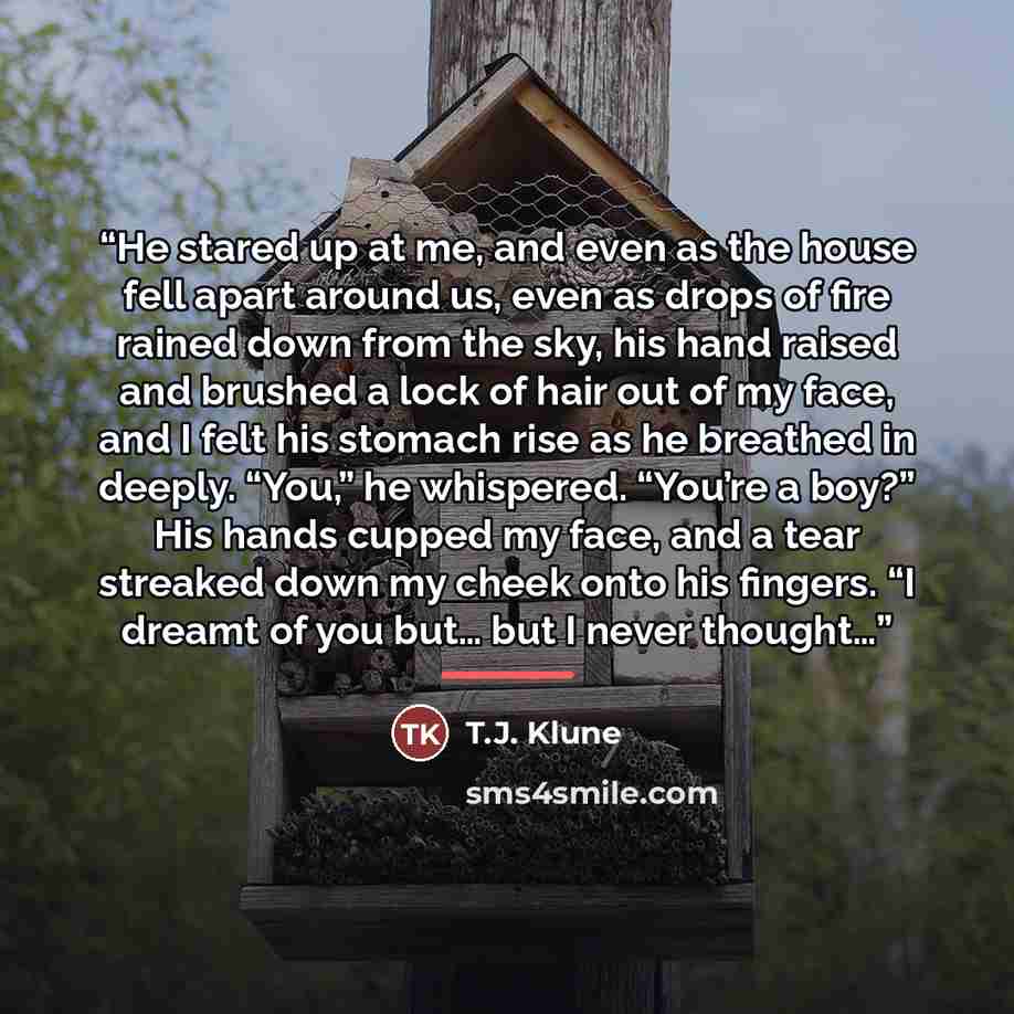 “He stared up at me, and even as the house fell apart around us, even as drops of fire rained down from the sky, his hand raised and brushed a lock of hair out of my face, and I felt his stomach rise as he breathed in deeply. “You,” he whispered. “You’re a boy?” His hands cupped my face, and a tear…” quote by T.J. Klune