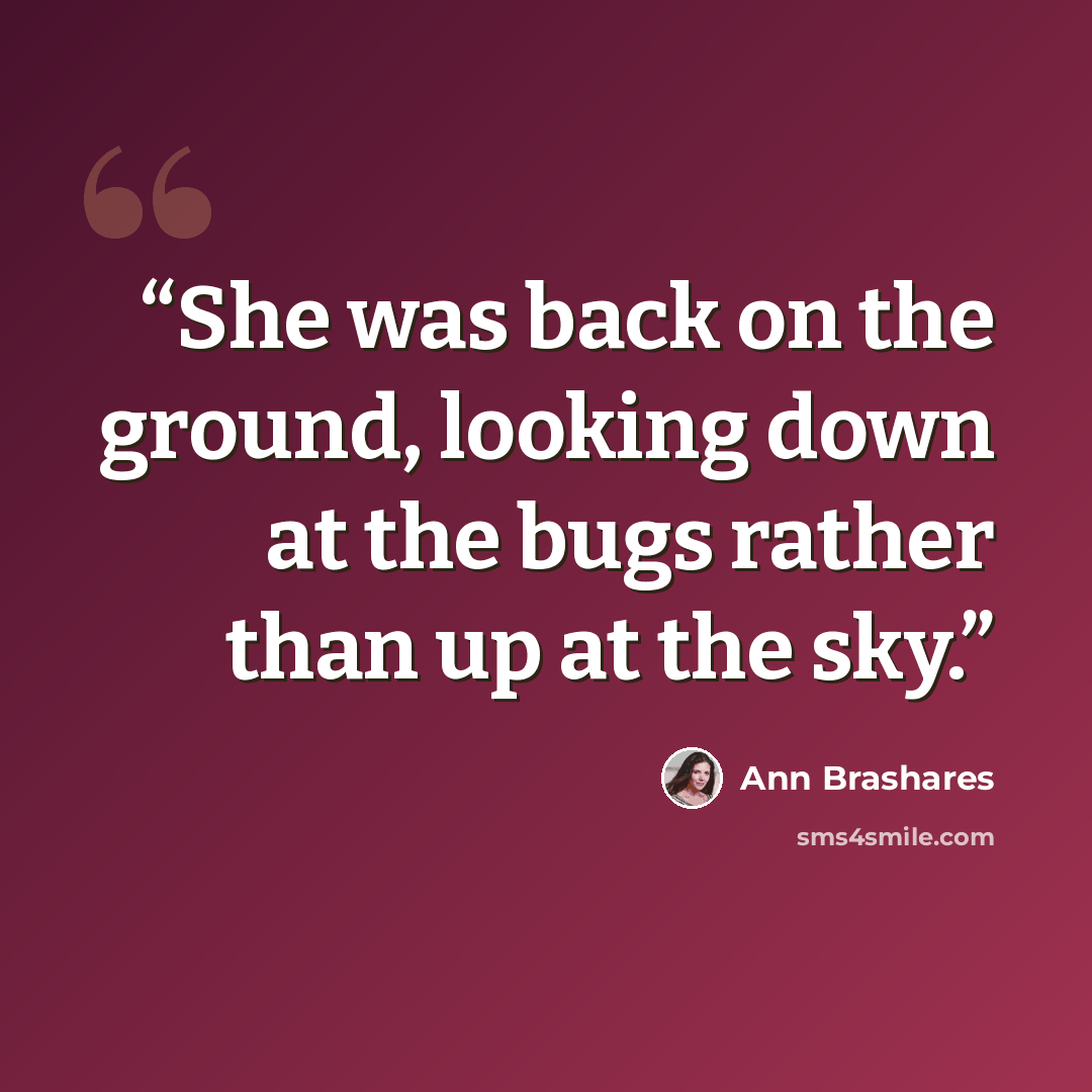 “She was back on the ground, looking down at the bugs rather than up at the sky.” quote by Ann Brashares