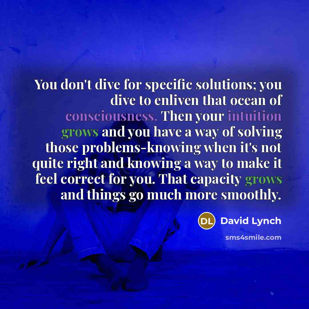 “You don't dive for specific solutions; you dive to enliven that ocean of consciousness. Then your intuition grows and you have a way of solving those problems-knowing when it's not quite right and knowing a way to make it feel correct for you. That capacity grows and things go much more smoothly.” quote by David Lynch