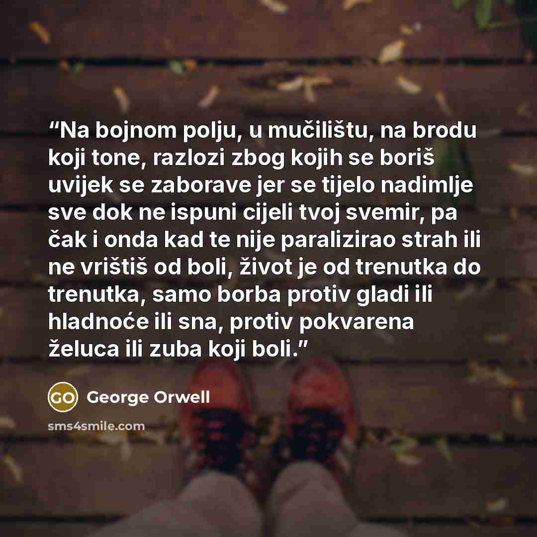 “Na bojnom polju, u mučilištu, na brodu koji tone, razlozi zbog kojih se boriš uvijek se zaborave jer se tijelo nadimlje sve dok ne ispuni cijeli tvoj svemir, pa čak i onda kad te nije paralizirao strah ili ne vrištiš od boli, život je od trenutka do trenutka, samo borba protiv gladi ili hladnoće…” quote by George Orwell