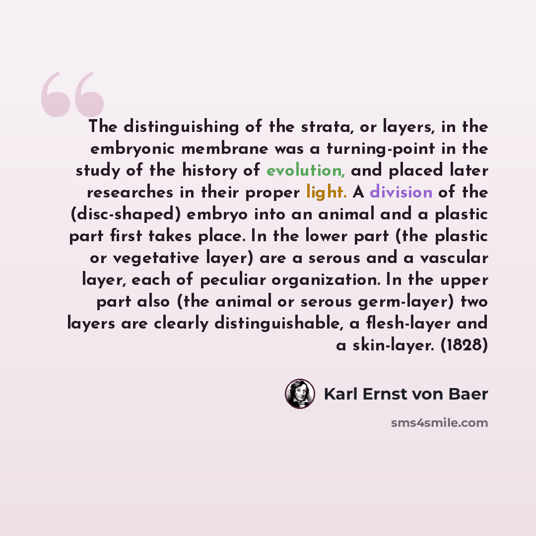 “The distinguishing of the strata, or layers, in the embryonic membrane was a turning-point in the study of the history of evolution, and placed later researches in their proper light. A division of the (disc-shaped) embryo into an animal and a plastic part first takes place. In the lower part (the…” quote by Karl Ernst von Baer