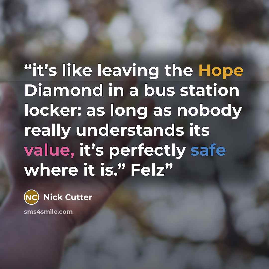 “it’s like leaving the Hope Diamond in a bus station locker: as long as nobody really understands its value, it’s perfectly safe where it is.” Felz” quote by Nick Cutter