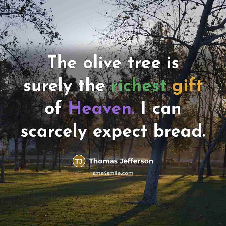 “The olive tree is surely the richest gift of Heaven. I can scarcely expect bread.” quote by Thomas Jefferson