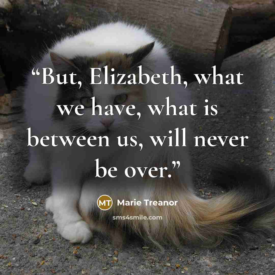“But, Elizabeth, what we have, what is between us, will never be over.” quote by Marie Treanor