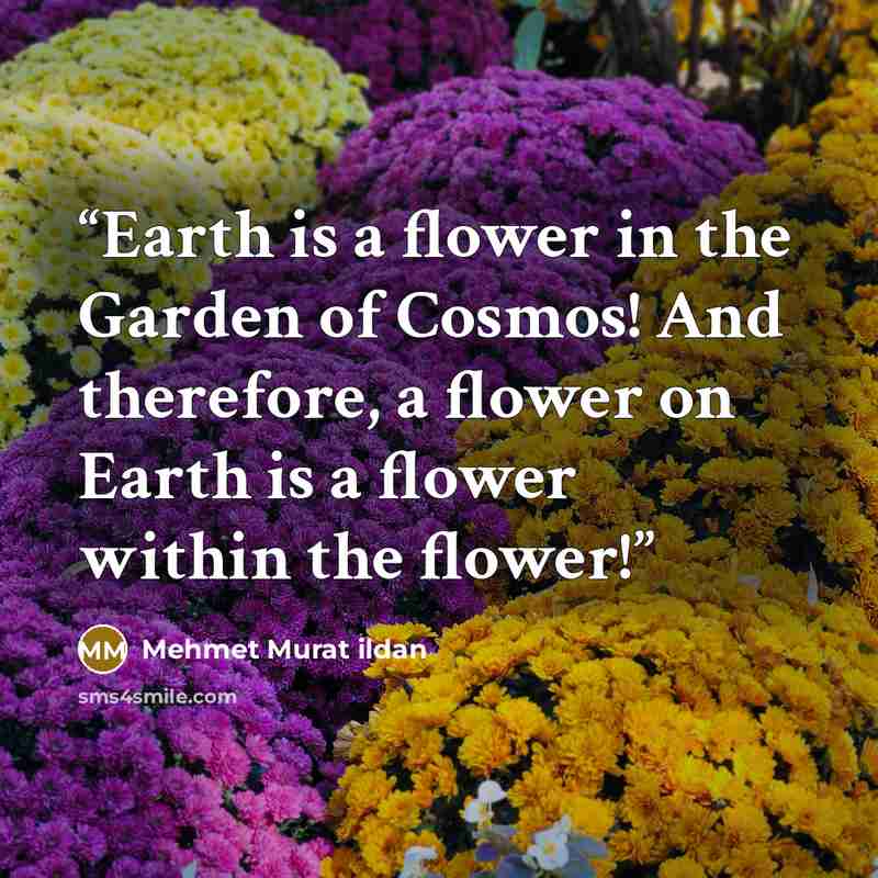 “Earth is a flower in the Garden of Cosmos! And therefore, a flower on Earth is a flower within the flower!” quote by Mehmet Murat ildan