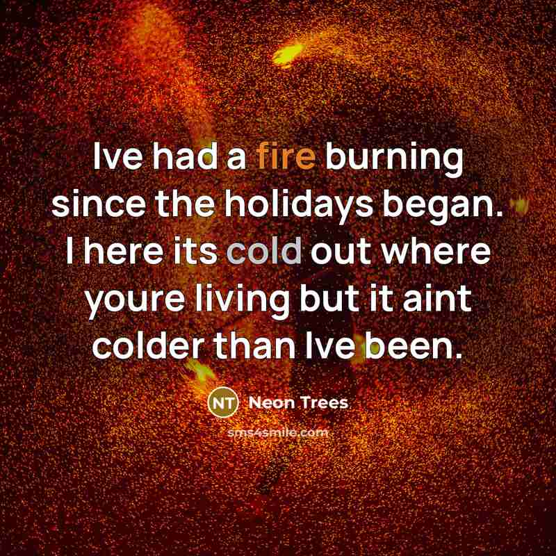 “Ive had a fire burning since the holidays began. I here its cold out where youre living but it aint colder than Ive been.” quote by Neon Trees