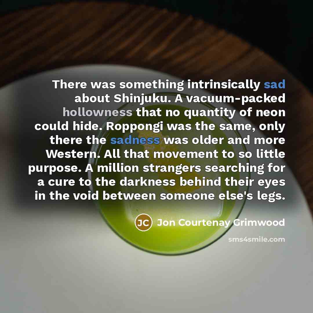 “There was something intrinsically sad about Shinjuku. A vacuum-packed hollowness that no quantity of neon could hide. Roppongi was the same, only there the sadness was older and more Western. All that movement to so little purpose. A million strangers searching for a cure to the darkness behind…” quote by Jon Courtenay Grimwood