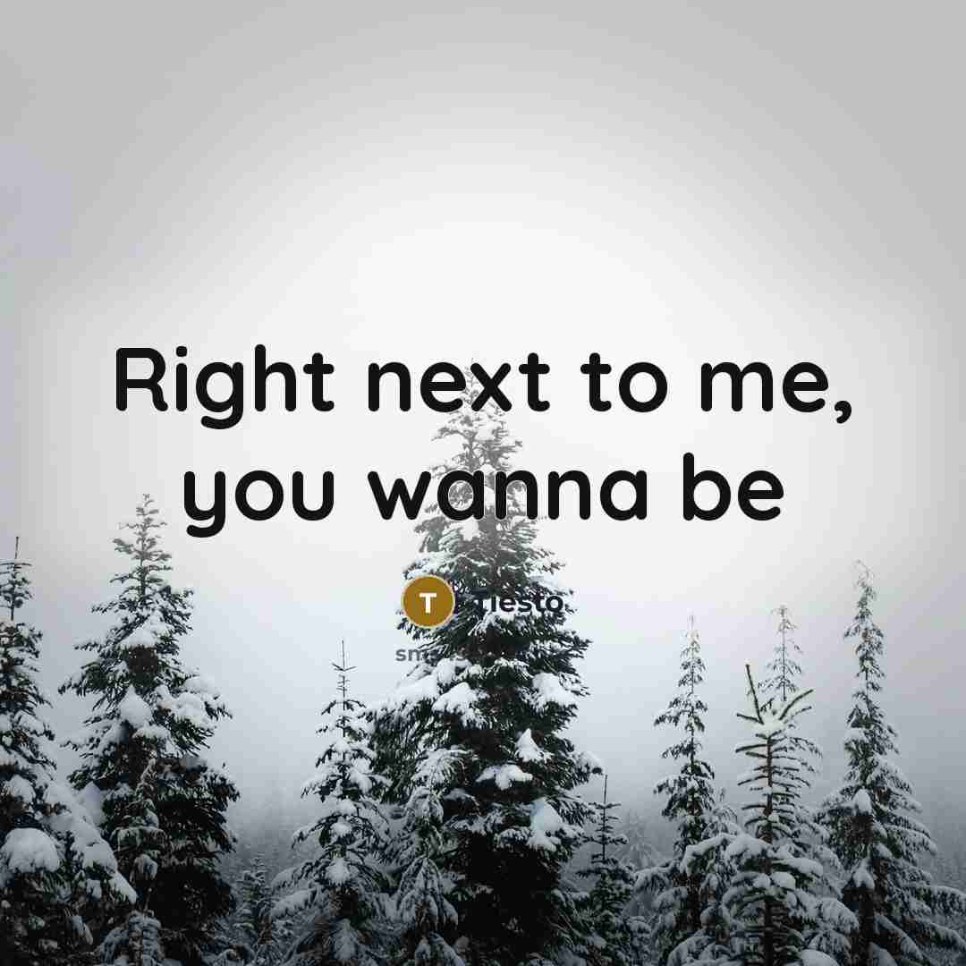 “Right next to me, you wanna be” quote by Tiesto