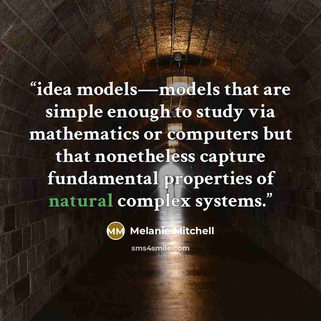 “idea models—models that are simple enough to study via mathematics or computers but that nonetheless capture fundamental properties of natural complex systems.” quote by Melanie Mitchell