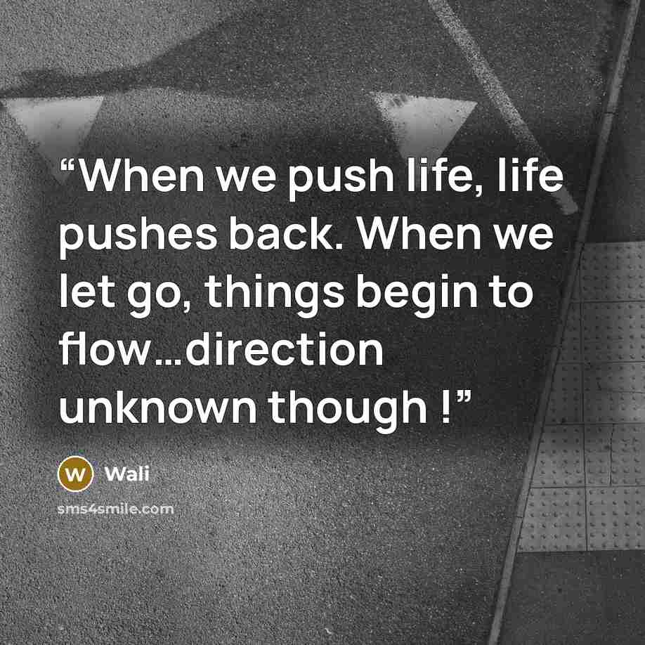 “When we push life, life pushes back. When we let go, things begin to flow…direction unknown though !” quote by Wali
