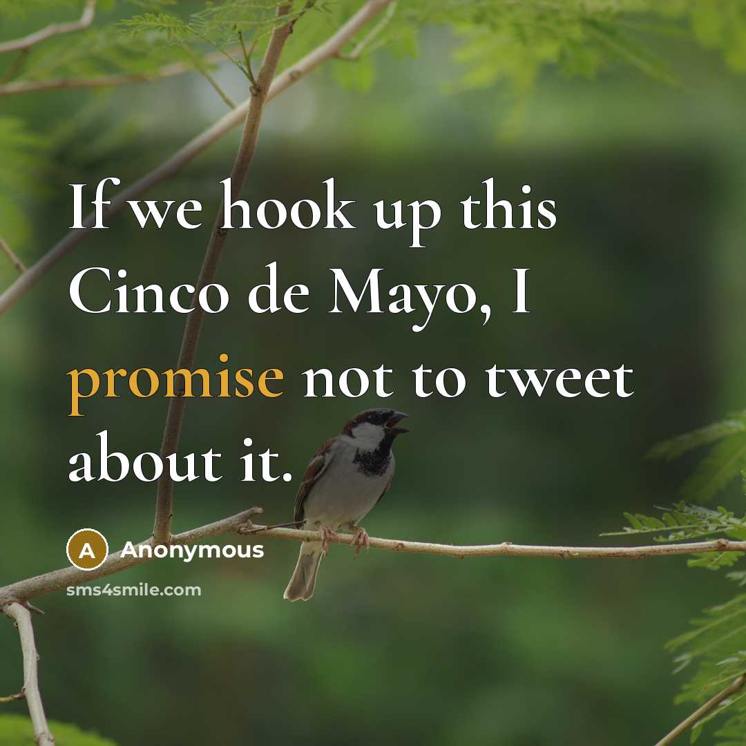 “If we hook up this Cinco de Mayo, I promise not to tweet about it.” quote by Anonymous