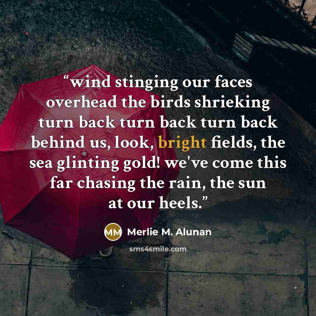 “wind stinging our faces overhead the birds shrieking turn back turn back turn back behind us, look, bright fields, the sea glinting gold! we've come this far chasing the rain, the sun at our heels.” quote by Merlie M. Alunan