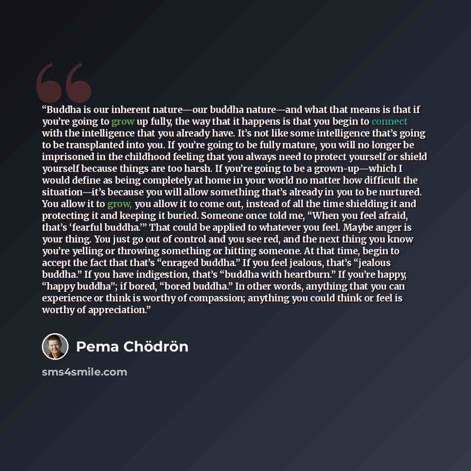 “Buddha is our inherent nature—our buddha nature—and what that means is that if you’re going to grow up fully, the way that it happens is that you begin to connect with the intelligence that you already have. It’s not like some intelligence that’s going to be transplanted into you. If you’re going…” quote by Pema Chödrön