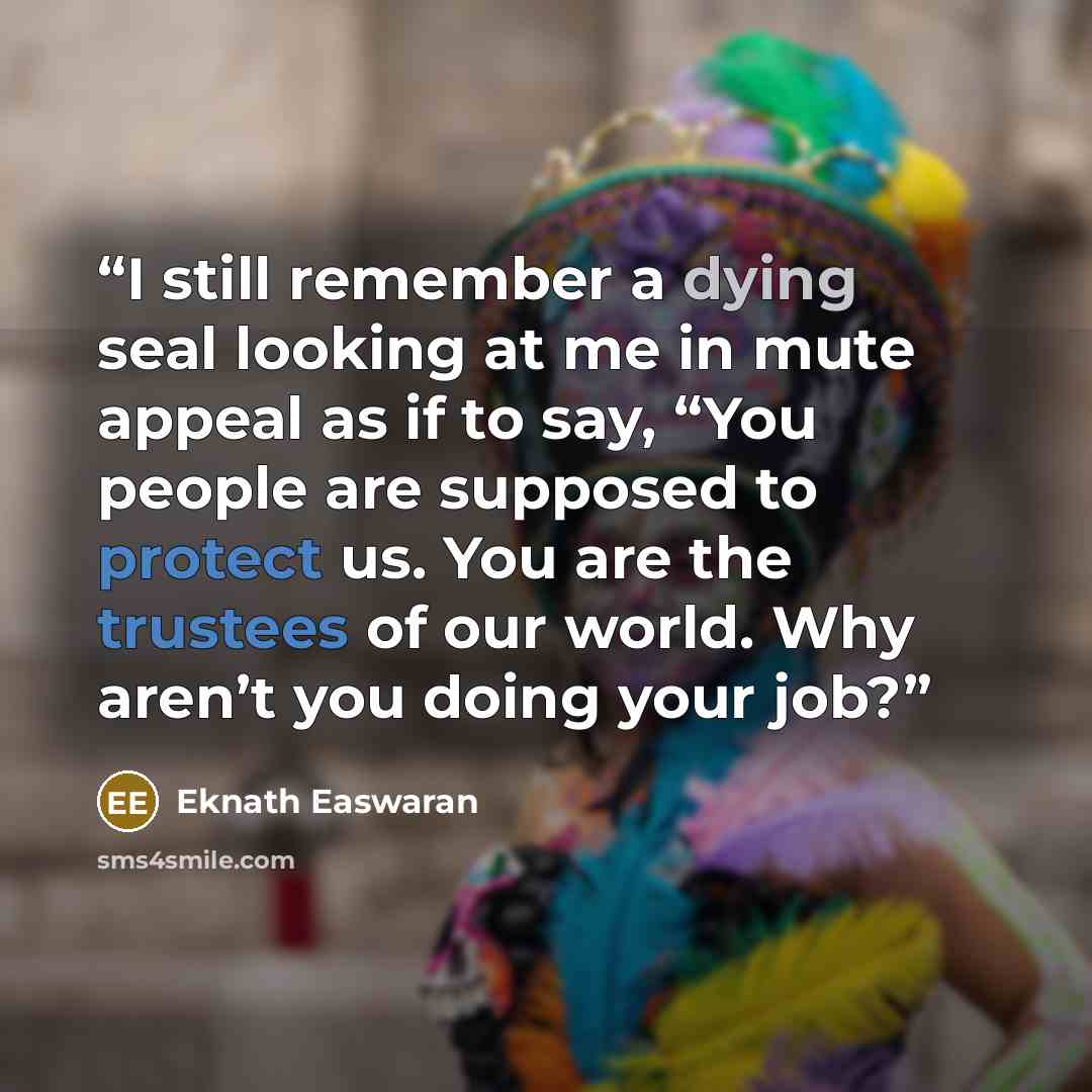 “I still remember a dying seal looking at me in mute appeal as if to say, “You people are supposed to protect us. You are the trustees of our world. Why aren’t you doing your job?” quote by Eknath Easwaran