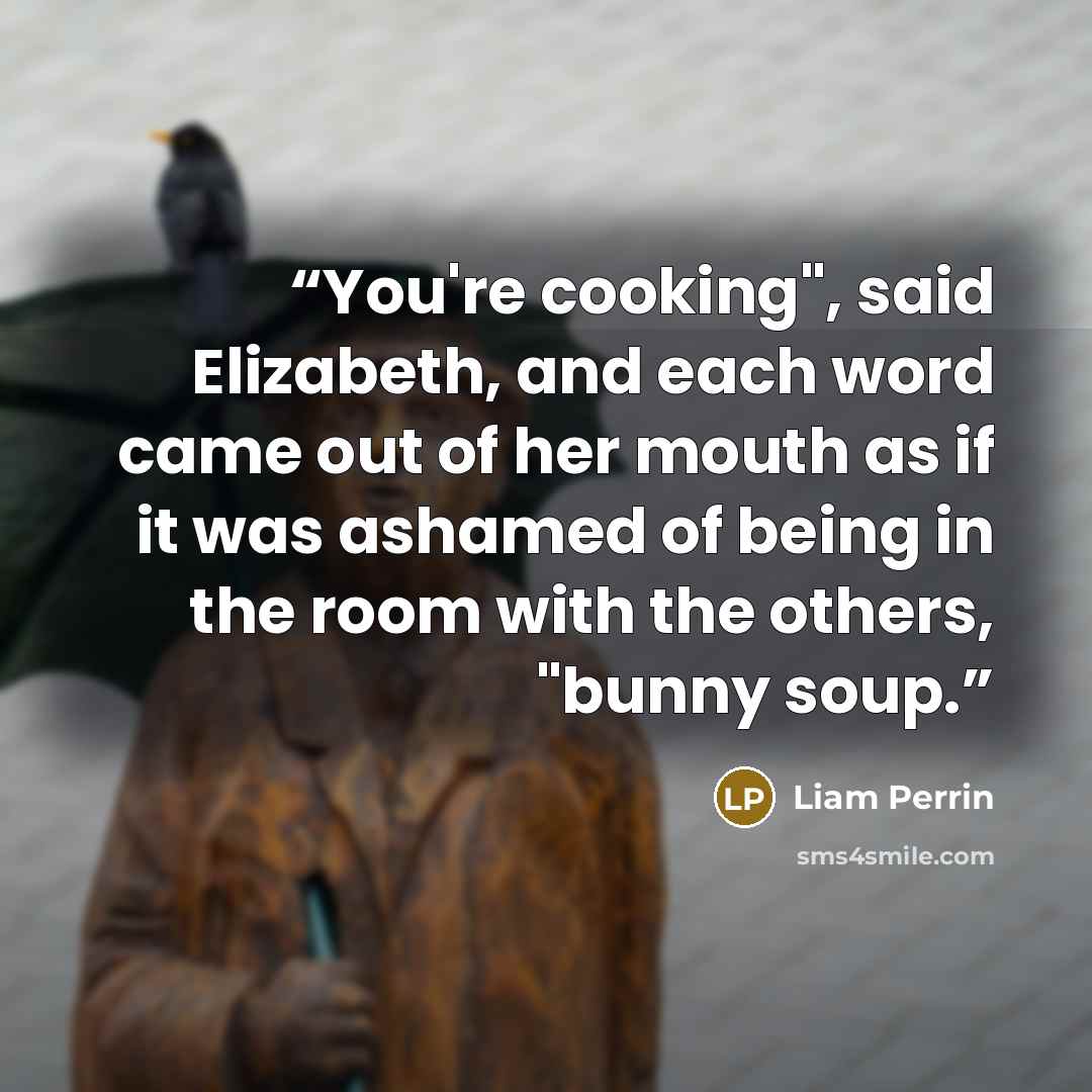“You're cooking", said Elizabeth, and each word came out of her mouth as if it was ashamed of being in the room with the others, "bunny soup.” quote by Liam Perrin