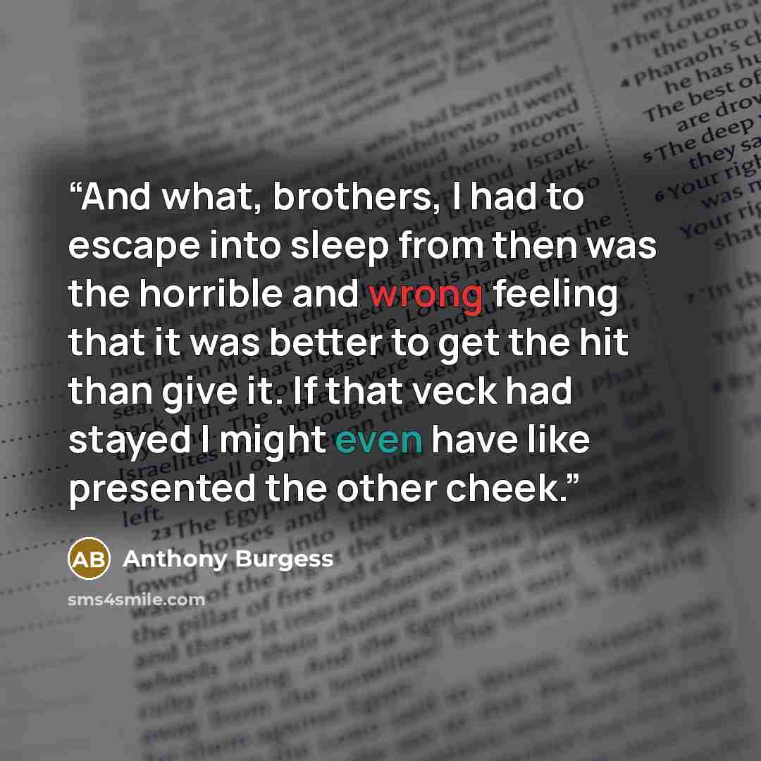 “And what, brothers, I had to escape into sleep from then was the horrible and wrong feeling that it was better to get the hit than give it. If that veck had stayed I might even have like presented the other cheek.” quote by Anthony Burgess
