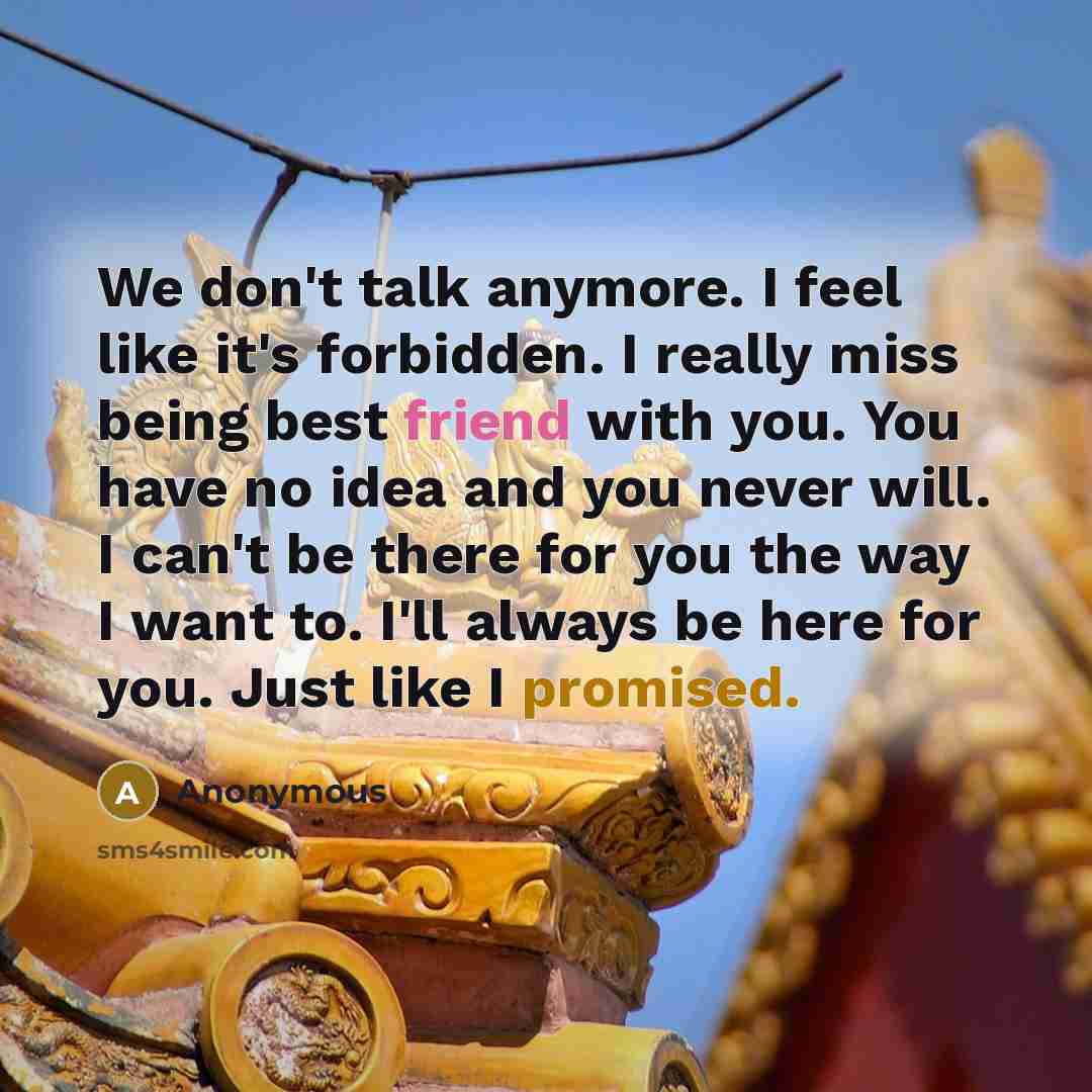 “We don't talk anymore. I feel like it's forbidden. I really miss being best friend with you. You have no idea and you never will. I can't be there for you the way I want to. I'll always be here for you. Just like I promised.” quote by Anonymous