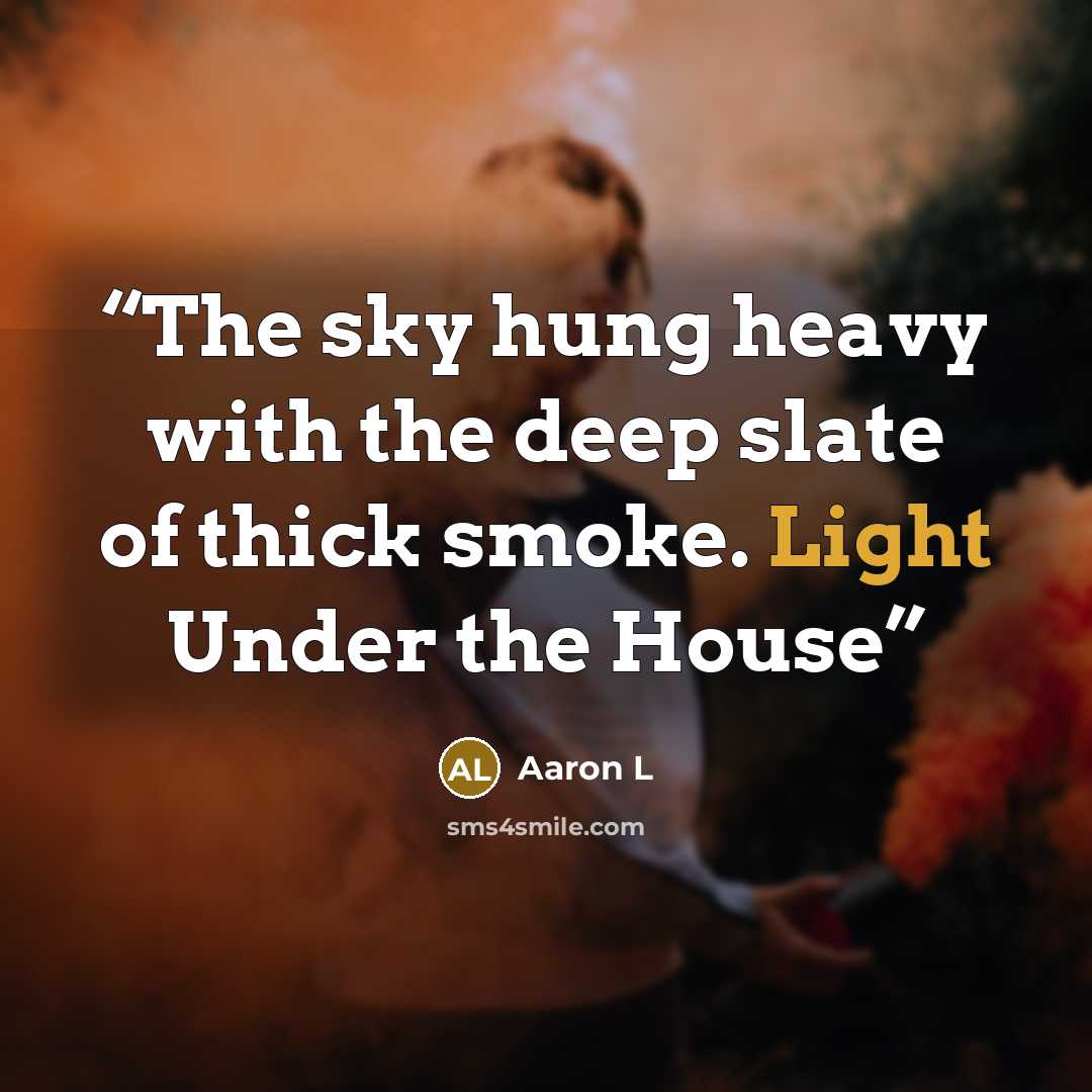 “The sky hung heavy with the deep slate of thick smoke. Light Under the House” quote by Aaron L