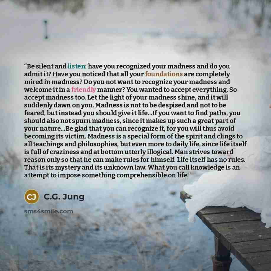 “Be silent and listen: have you recognized your madness and do you admit it? Have you noticed that all your foundations are completely mired in madness? Do you not want to recognize your madness and welcome it in a friendly manner? You wanted to accept everything. So accept madness too. Let the…” quote by C.G. Jung