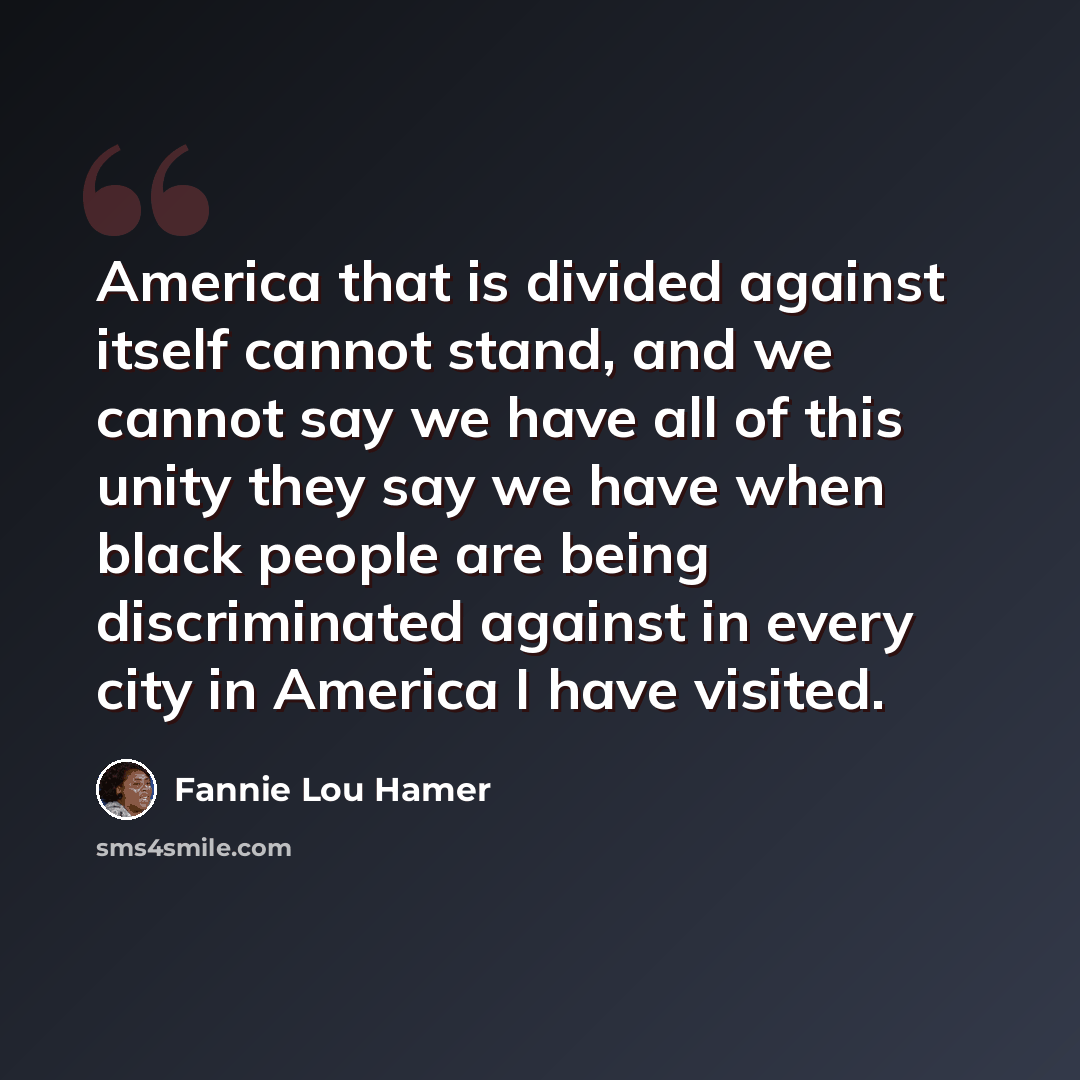 “America that is divided against itself cannot stand, and we cannot say we have all of this unity they say we have when black people are being discriminated against in every city in America I have visited.” quote by Fannie Lou Hamer