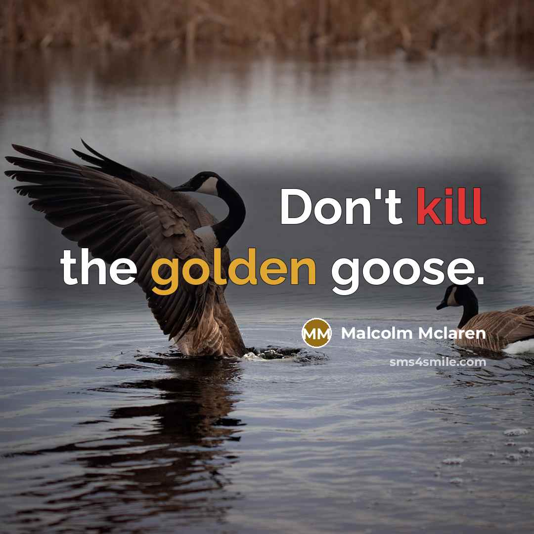 “Don't kill the golden goose.” quote by Malcolm Mclaren