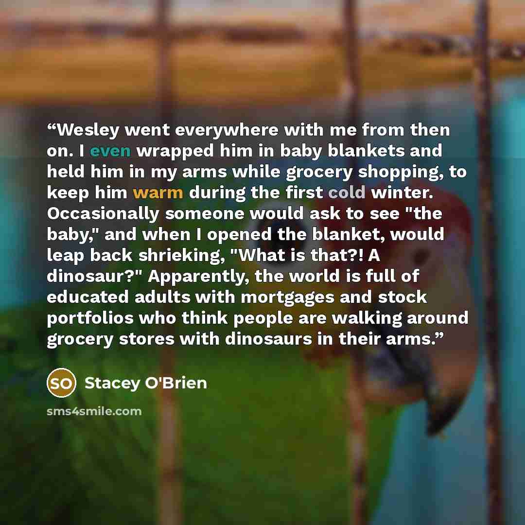 “Wesley went everywhere with me from then on. I even wrapped him in baby blankets and held him in my arms while grocery shopping, to keep him warm during the first cold winter. Occasionally someone would ask to see "the baby," and when I opened the blanket, would leap back shrieking, "What is…” quote by Stacey O'Brien