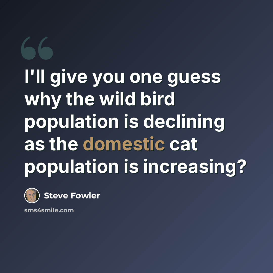“I'll give you one guess why the wild bird population is declining as the domestic cat population is increasing?” quote by Steve Fowler