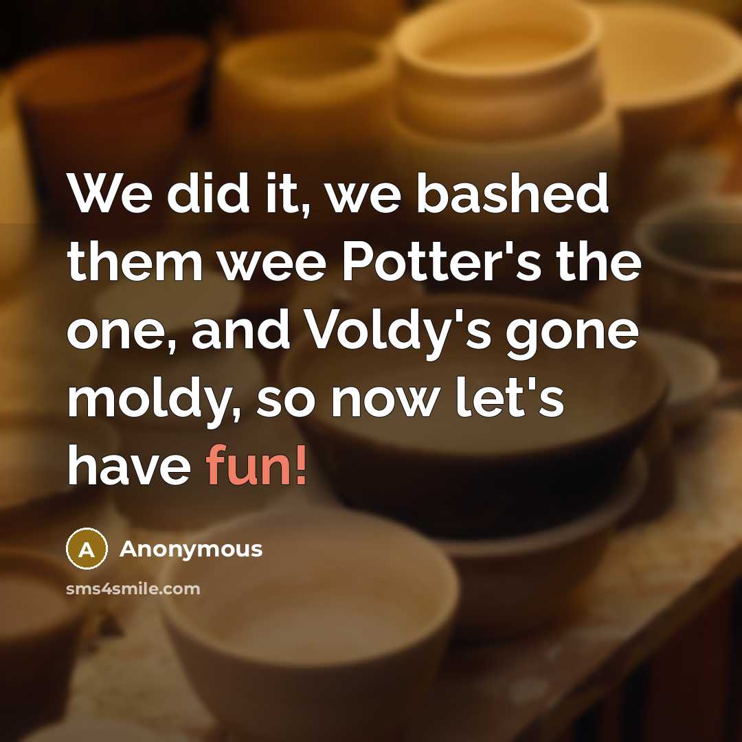 “We did it, we bashed them wee Potter's the one, and Voldy's gone moldy, so now let's have fun!” quote by Anonymous