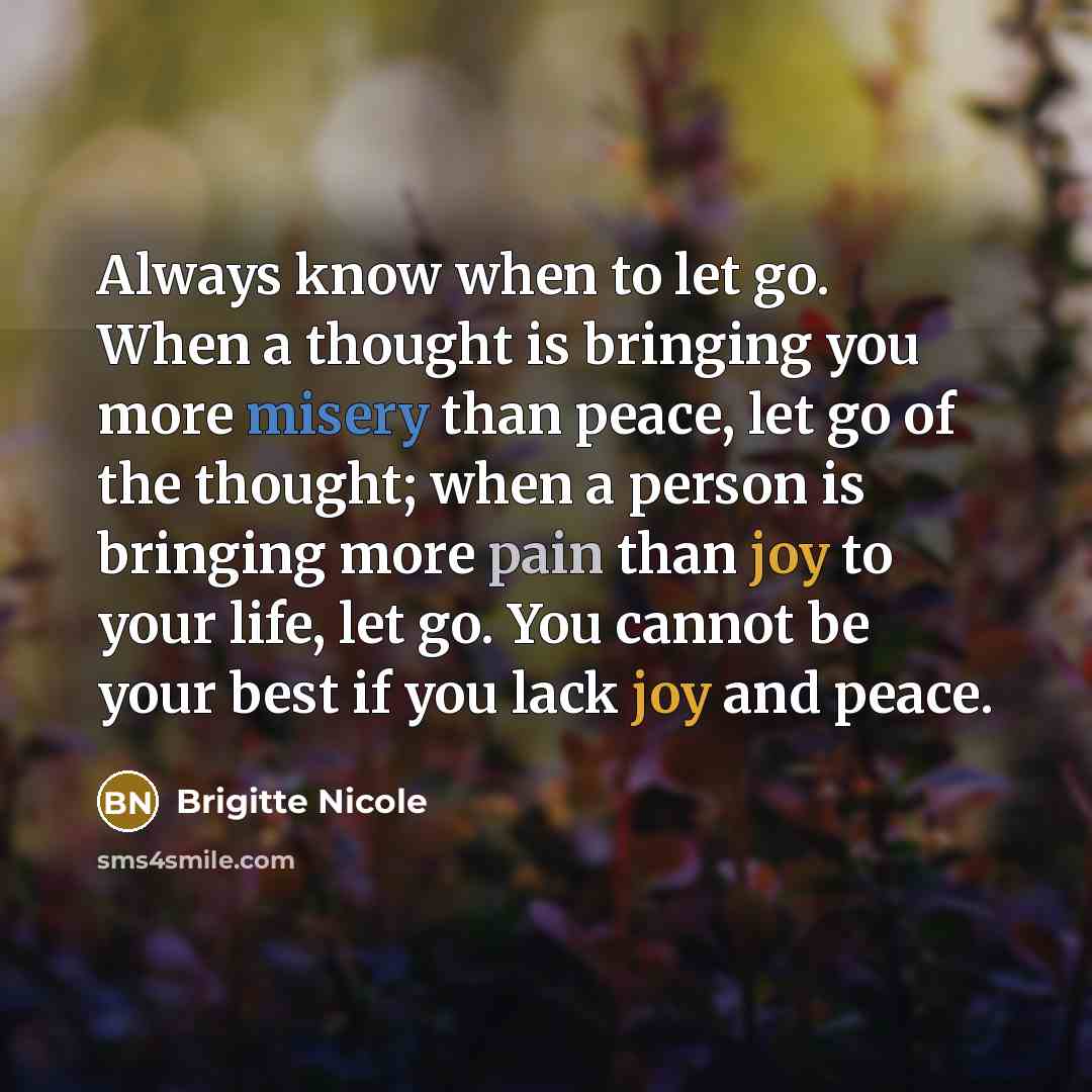 “Always know when to let go. When a thought is bringing you more misery than peace, let go of the thought; when a person is bringing more pain than joy to your life, let go. You cannot be your best if you lack joy and peace.” quote by Brigitte Nicole